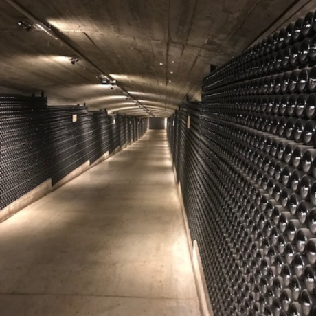 wine travel - 9