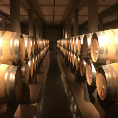 wine travel - 24