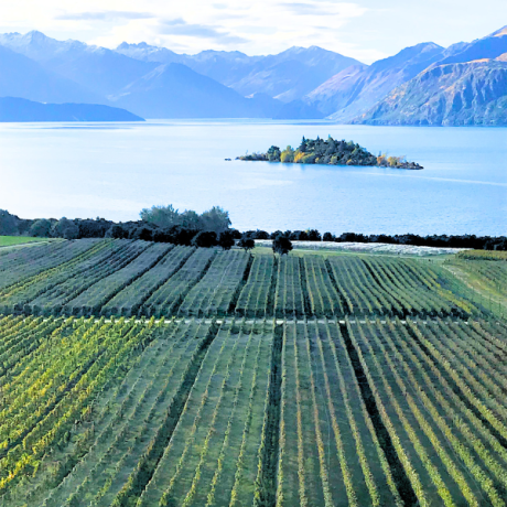 wine travel - 3