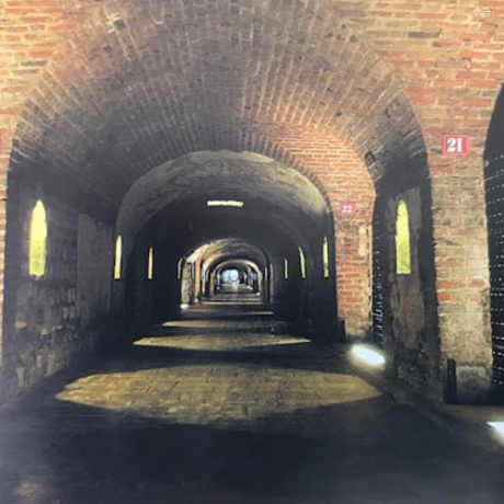wine travel - 19