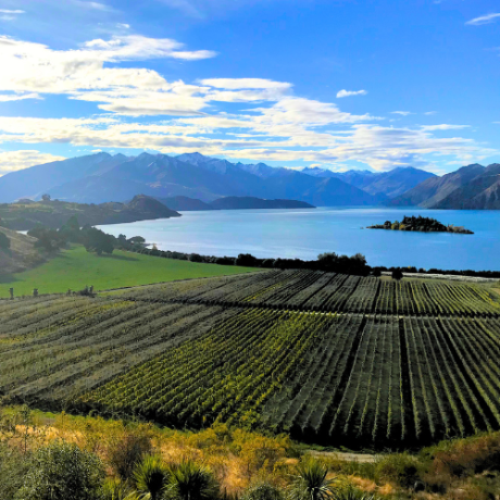 wine travel - 10